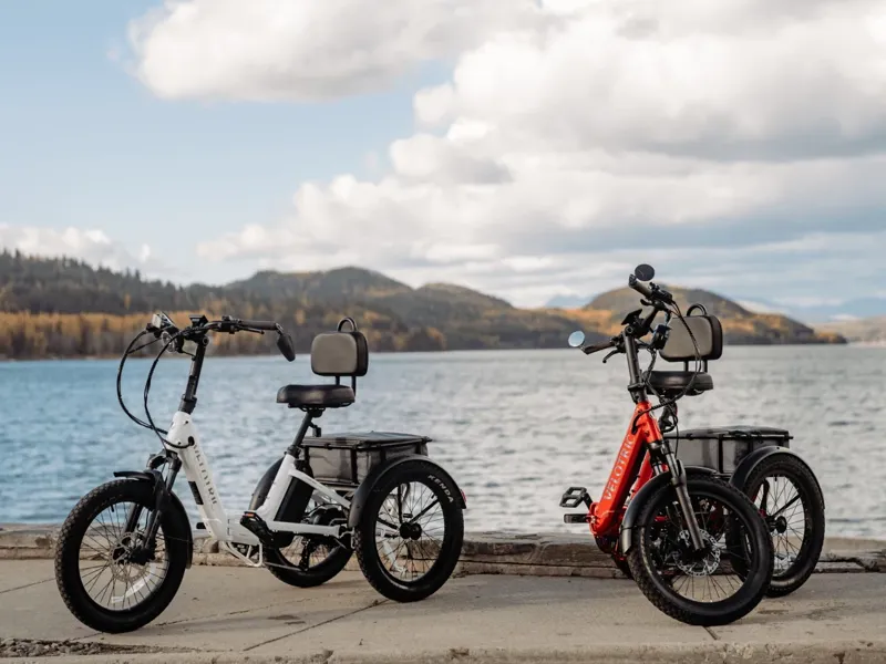 Velotric Triker eTricycle - White-5