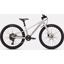 Specialized Riprock 24 Kids Bike in Gloss Dolomite Metallic